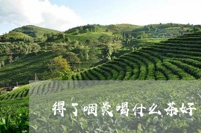 得了咽炎喝什么茶好/2023041645260