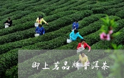 御上茗品牌普洱茶/2023031635160