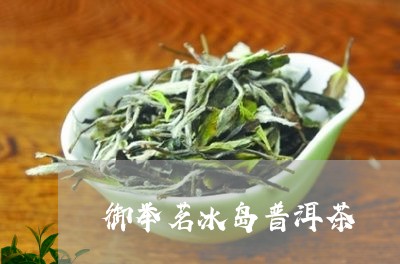 御举茗冰岛普洱茶/2023041320804