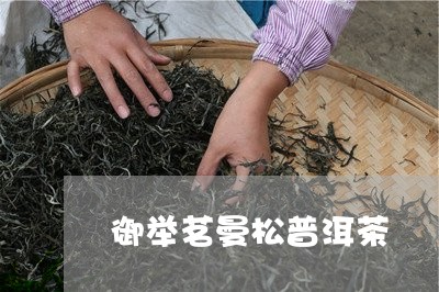 御举茗曼松普洱茶/2023033089703