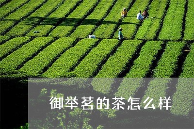 御举茗的茶怎么样/2023031831493