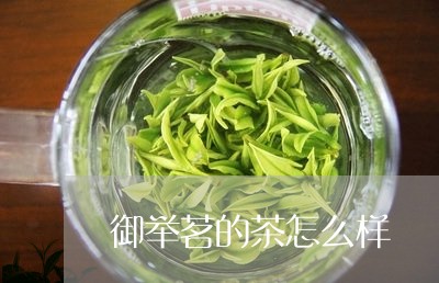 御举茗的茶怎么样/2023041303037