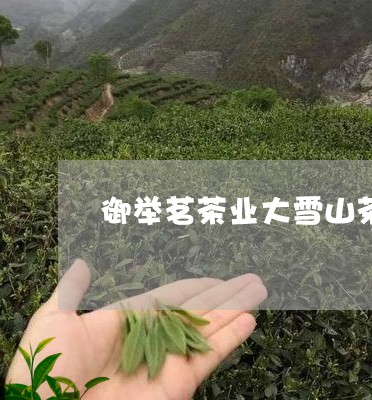 御举茗茶业大雪山茶/2023041439504