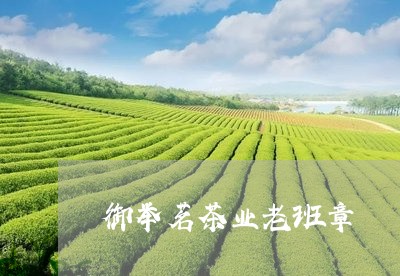 御举茗茶业老班章/2023032916140