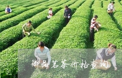 御品茗茶价格查询/2023032476157