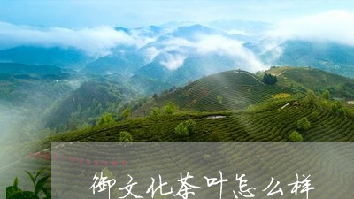 御文化茶叶怎么样/2023032751504