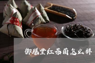 御膳堂红茶菌怎么样/2023041554838