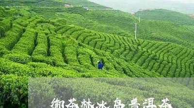 御茶林冰岛普洱茶/2023041284927