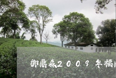 御鼎森2009年福鼎白茶/2023033197379