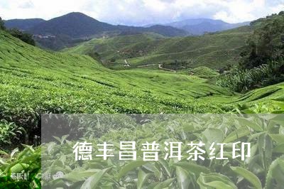 德丰昌普洱茶红印/2023033055047