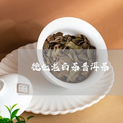 德化老白茶普洱茶/2023041030582