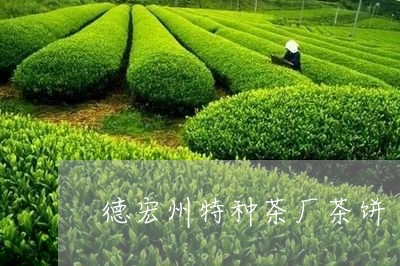 德宏州特种茶厂茶饼/2023032083058