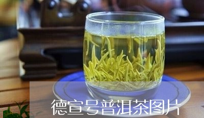 德宣号普洱茶图片/2023041340604