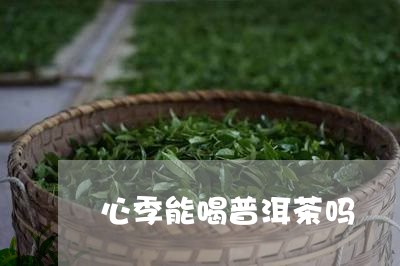 心季能喝普洱茶吗/2023033185948