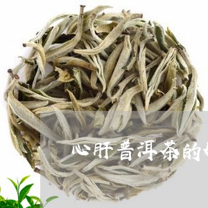 心肝普洱茶的好处/2023031671686