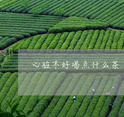 心脏不好喝点什么茶/2023041544936