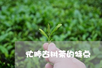 忙肺古树茶的特点/2023032663936