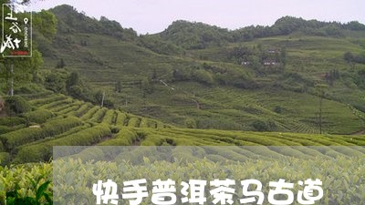 快手普洱茶马古道/2023040985037