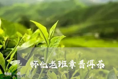 怀化老班章普洱茶/2023031773948