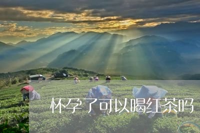 怀孕了可以喝红茶吗/2023031963935