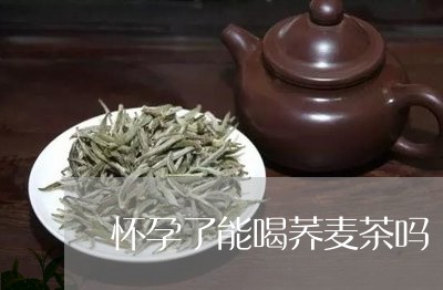 怀孕了能喝荞麦茶吗/2023031804828