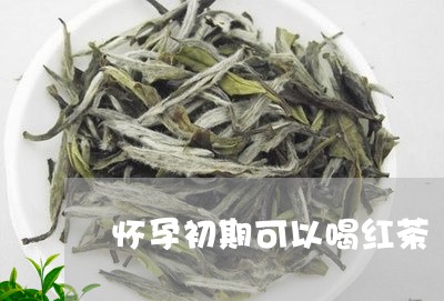 怀孕初期可以喝红茶/2023041583970