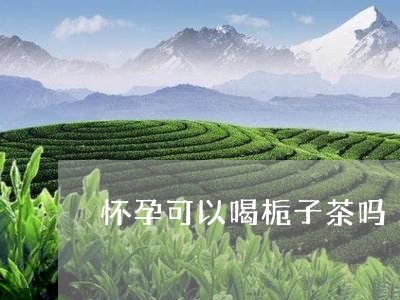 怀孕可以喝栀子茶吗/2023041483920