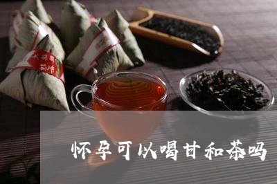 怀孕可以喝甘和茶吗/2023041433615