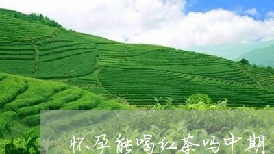 怀孕能喝红茶吗中期/2023041558371