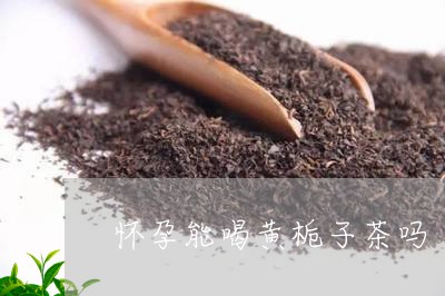 怀孕能喝黄栀子茶吗/2023041411158