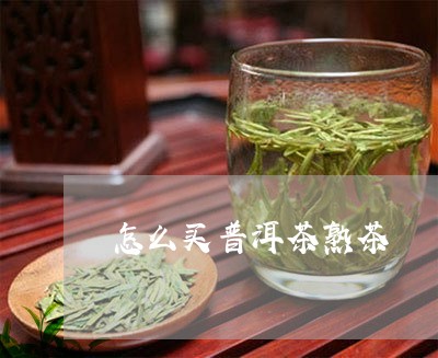 怎么买普洱茶熟茶/2023041384727