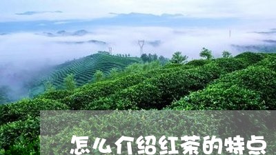 怎么介绍红茶的特点/2023032105370