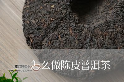 怎么做陈皮普洱茶/2023041315050