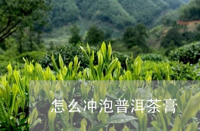 怎么冲泡普洱茶膏/2023031625260