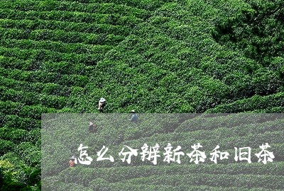 怎么分辨新茶和旧茶/2023041518261