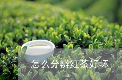 怎么分辨红茶好坏/2023032381605