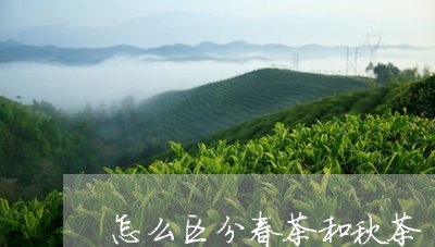 怎么区分春茶和秋茶/2023031916142