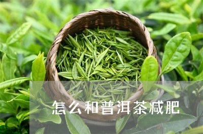 怎么和普洱茶减肥/2023031763714