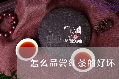 怎么品尝红茶的好坏/2023041749382