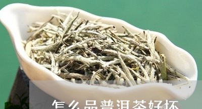 怎么品普洱茶好坏/2023031823817