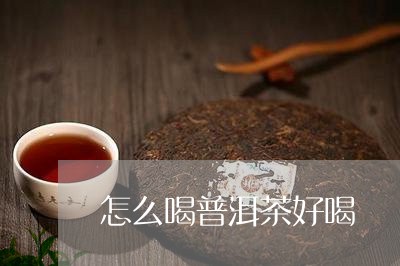 怎么喝普洱茶好喝/2023041199524