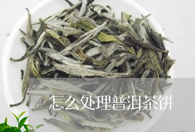 怎么处理普洱茶饼/2023041073048