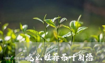 怎么推荐茶叶用语/2023032593837