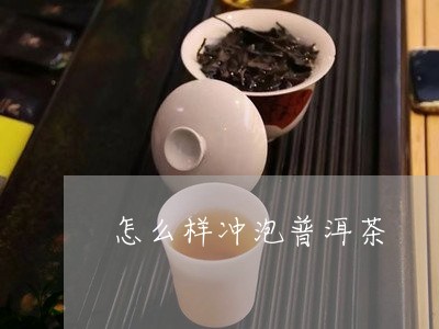 怎么样冲泡普洱茶/2023041251694