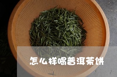 怎么样喝普洱茶饼/2023033137451