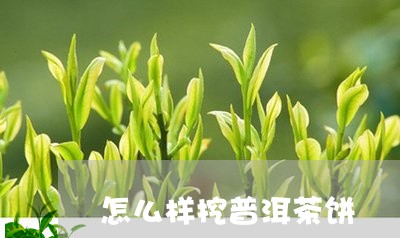 怎么样挖普洱茶饼/2023033122603