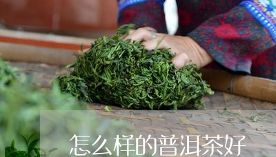 怎么样的普洱茶好/2023031804947