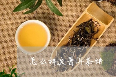 怎么样选普洱茶饼/2023033190482