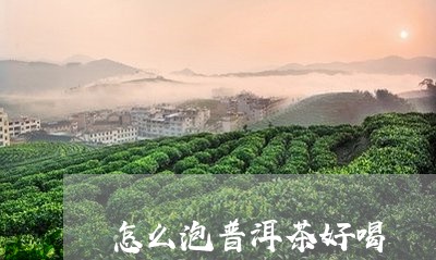 怎么泡普洱茶好喝/2023031817392