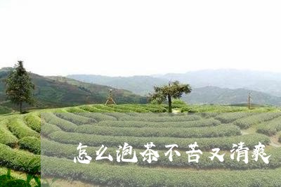 怎么泡茶不苦又清爽/2023041626149